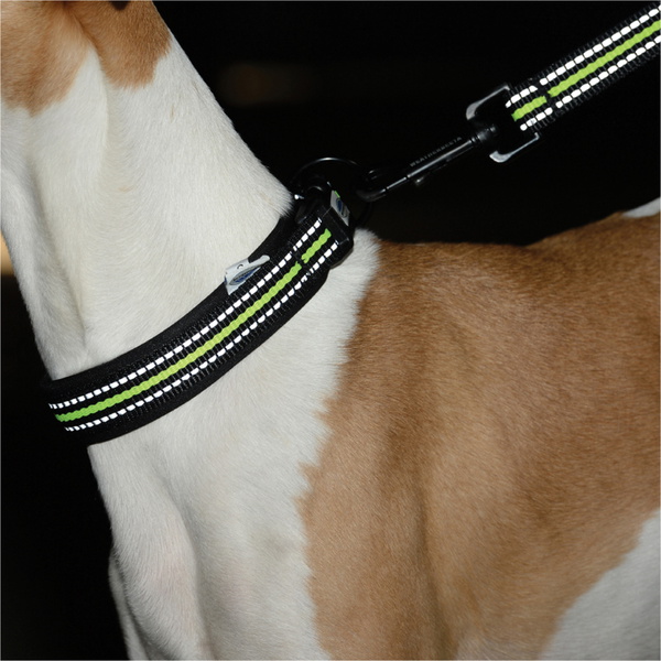 Weatherbeeta Reflektierendes Hundehalsband 1003618 - Yellow